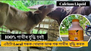 গৰু গাখীৰ কেনেকৈ বৃদ্ধি কৰিব, গাখীৰ বৃদ্ধি হবলৈ কি কি খোৱাব || Calcium Liquid cow