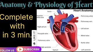 Anatomy and Physiology of Heart ❤️