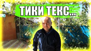 БЫВАЕТ всякое... ОБЗОР обновок от ТИКИ ТЕКС! Крем-суп ИЗ ТЫКВЫ на обед по рецепту ЛАЗЕРСОНА!