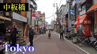 東京 屈指の 桜の名所・石神井川 と、中板橋 の街を散策　　（板橋区）🌞 3D高音質・イヤホン推奨　　【睡眠用】