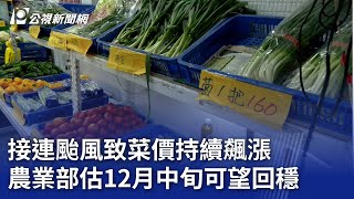 接連颱風致菜價持續飆漲 農業部估12月中旬可望回穩｜20241209 公視晚間新聞