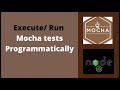 Run Mocha tests Programmatically