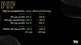 3. Mit nevezünk PIP-nek?