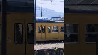 115系三原行　備後赤坂駅到着　2022/10/14　黄色い電車