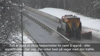 Statens vegvesen - Vinterdrift på riks- og europaveiene