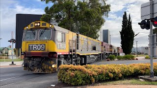 TasRail TR09 2011 TR07 #36 train crossing Reibey Street Ulverstone