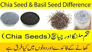 Tukh Malanga or Chia Seeds | Difference Between Chia Seeds and Basil Seeds