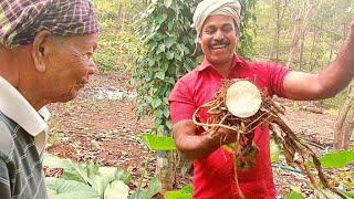 ചേമ്പിൻ കണ്ട ഞാനും അച്ഛനും കിളച്ചു അമ്മ വറുത്തു