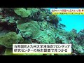 これまで衛星写真では見つからず 全長4km！与那国沖に巨大サンゴ礁（沖縄テレビ）2022 10 12