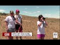 park officials don t get too close to bison on antelope island