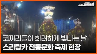 [오늘의 세계] 코끼리들이 화려하게 빛나는 날 스리랑카 전통문화 축제 현장