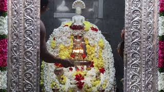 shree vadanabail padmavathi devi mahamangalarathi🙏    Date:19-12-2023