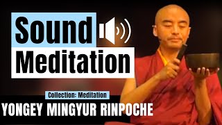 Sound Meditation Practice for Beginners - Yongey Mingyur Rinpoche | LSE 2018 【C:Y.M.R Ep.8】