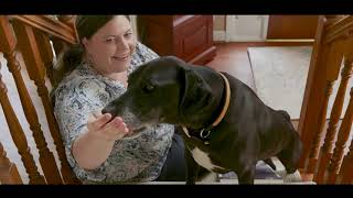 How to Teach Your Dog to Use a ScratchPad Scratch Board - Hind Feet