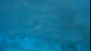 DSCN0845