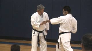 Master Mikami explaining shoulder, hip arm position for reverse punch