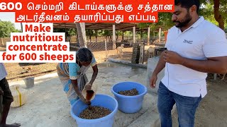 மாதம் 4 கிலோ எடை கூடும் தீவனம் தயாரிப்பது எப்படி | Concentrate feed for sheep and goats