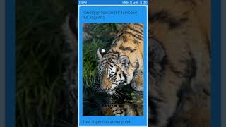 Flickr Browser App