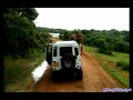 yala tusker attack gemunu