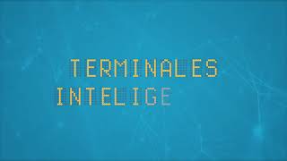 Terminales inteligentes