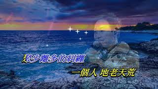 半生緣   黎明〈歌手演唱版〉