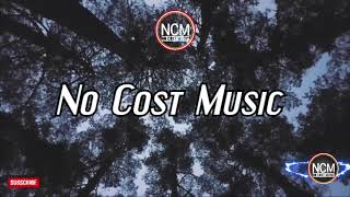 Elektronomia - Sky High || No Cost Music || No Copyright Music || No Copyright Sounds || Free Music