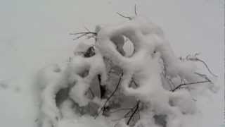 █▬█ █  creepy Aliens snow shape in my yard incredible Aliens face very scary شكل ثلج عجيب زي العفريت