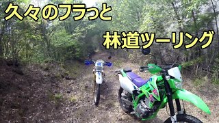 【KLX250】久々の爽やかフラっと林道ツーリング！【セロー225】