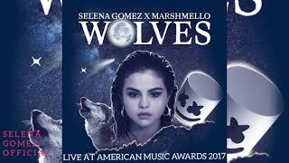 Selena Gomez X MARSHMELLO - Wolves (Live At AMAS 2017) [AUDIO]