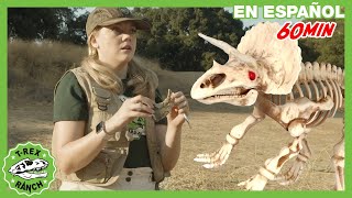 Misterio de los fósiles de dinosaurios 🦴| Videos de dinosaurios y juguetes para niños