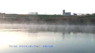 2019年12月12日　多摩川の川霧