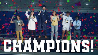 Become A Champion with Trine Today!