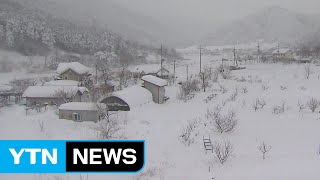 밤사이 중부 지방에 눈 폭탄...서울 최고 10cm / YTN (Yes! Top News)