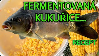 Tip na recept fermentované kukuřice ((NEJLEPŠÍ A NEJRYCHLEJŠÍ)) ...