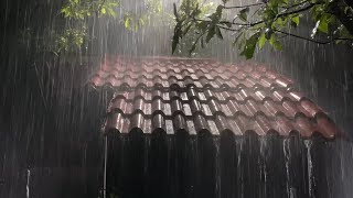 Deep Sleep Instantly with Heavy Rain & Roaring Thunderstorm Sounds on Tin Roof in Forest at Night
