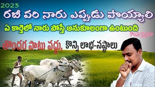 రబీలో వరి నారు ఎప్పుడు పొయ్యాలి|rabi vari naru eppudu poyali|2023|యాసంగి వరి నారు|paddy Nursery time