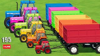 Transport \u0026 LOAD WORK with Colored MINI \u0026 BIG Massey FERGUSON Tractors AND Transport Red Beet! - 195