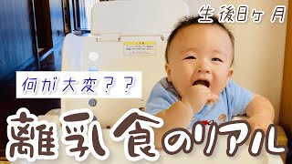 生後8ヶ月【すべてグチャグチャ】赤ちゃんの離乳食の理想と現実Vlog