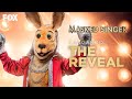 Kangaroo All Perfomances and Reveal | The Masked Singer (Season 3)