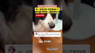 这辈子没这么无语过，你要不要听听你自己在说什么！#pets #狗狗 #搞笑