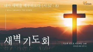 2025.01.15 / 모라교회  /  새벽 기도회  /  여호수아   10  : 1  - 15