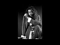 Peter Tosh - Feel No Way (Dub Version - Borka B Dub Remix)