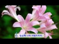 생명의흐름tv 찬송1집 8 주 예수 내 유일한 사랑