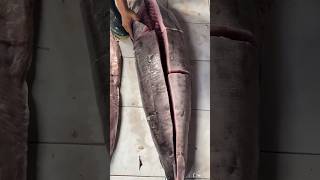 Tips memotong ikan untuk pemula ✅ #fish #fishcuttingskill #fishcutting #cuttingskills #potongikan