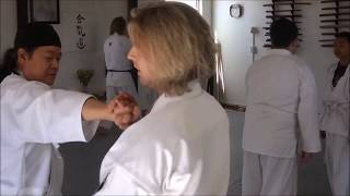 Aikido Seminar: SHISEI - The Power of Posture