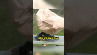 위험한 자동차 에어백