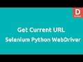 Get Current URL in Selenium Python Webdriver