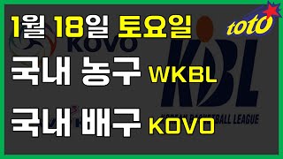 [국내 분석] 1월 18일 토요일 KOVO KBL 분석 #스포츠분석 #토토분석 #농구분석 #배구분석 #NBA분석