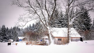 Planning a Homestead (v2024)