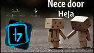 Heja - Nece Door (Cover) -OFFICIAL AUDIO- هیژا -نه چه دور (Prod. by Ibrahim S.)